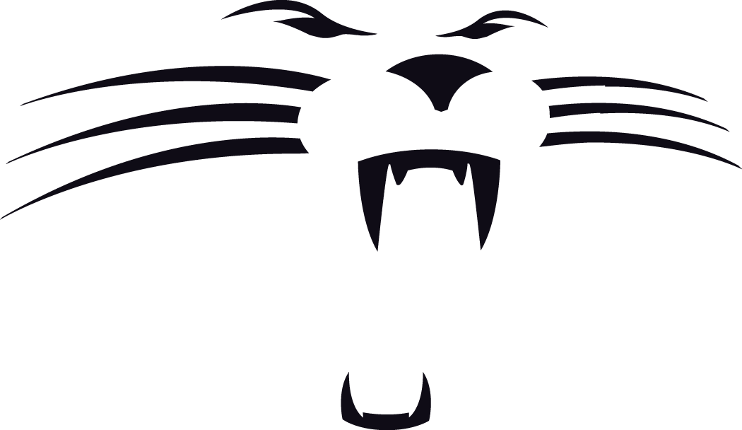 Carolina Panthers 1995-2011 Alternate Logo iron on transfers for clothing version 2